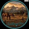 saddlesandstars